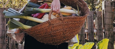 5 Motivation Foods For Winter