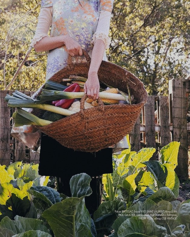 5 Motivation Foods For Winter